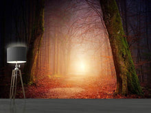 Laden Sie das Bild in den Galerie-Viewer, Fototapete Herbst im Wald