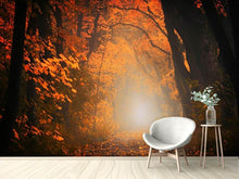 Laden Sie das Bild in den Galerie-Viewer, Fototapete Herbstlicht im Wald