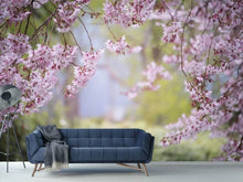 Laden Sie das Bild in den Galerie-Viewer, Fototapete Im schönen Frühling
