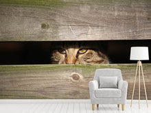 Laden Sie das Bild in den Galerie-Viewer, Fototapete Katze im Versteck