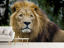 Laden Sie das Bild in den Galerie-Viewer, Fototapete König der Tierwelt