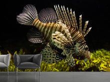 Laden Sie das Bild in den Galerie-Viewer, Fototapete Lion Fisch