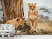 Laden Sie das Bild in den Galerie-Viewer, Fototapete Löwen in Afrika
