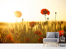 Laden Sie das Bild in den Galerie-Viewer, Fototapete Mohn im Sonnenuntergang