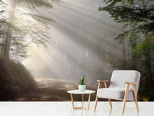 Laden Sie das Bild in den Galerie-Viewer, Fototapete Mystisches Licht im Wald