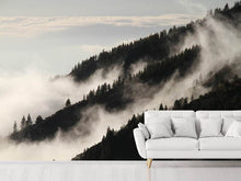 Laden Sie das Bild in den Galerie-Viewer, Fototapete Nebel in den Wälder