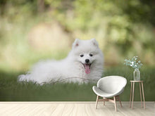 Laden Sie das Bild in den Galerie-Viewer, Fototapete Niedliche Spitz Welpe