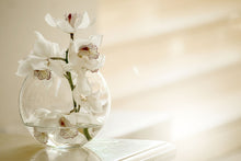 Laden Sie das Bild in den Galerie-Viewer, Fototapete Orchidee im Glas