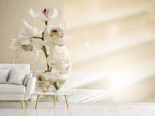 Laden Sie das Bild in den Galerie-Viewer, Fototapete Orchidee im Glas