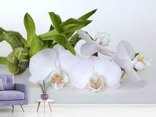 Laden Sie das Bild in den Galerie-Viewer, Fototapete Orchidee und Bambus