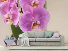 Laden Sie das Bild in den Galerie-Viewer, Fototapete Orchideen mit lila Blüten in XL
