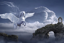 Laden Sie das Bild in den Galerie-Viewer, Fototapete Pegasus