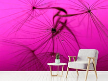Laden Sie das Bild in den Galerie-Viewer, Fototapete Pusteblume in pink