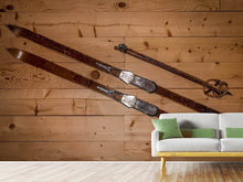 Laden Sie das Bild in den Galerie-Viewer, Fototapete Retro Ski