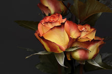 Laden Sie das Bild in den Galerie-Viewer, Fototapete Rosen der Romantik
