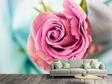 Laden Sie das Bild in den Galerie-Viewer, Fototapete Rosenblüte in rosa