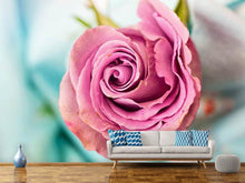 Laden Sie das Bild in den Galerie-Viewer, Fototapete Rosenblüte in rosa