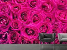 Laden Sie das Bild in den Galerie-Viewer, Fototapete Rosenblüten in pink