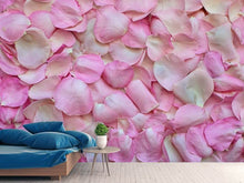 Laden Sie das Bild in den Galerie-Viewer, Fototapete Rosenblüten in rosa
