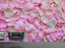 Laden Sie das Bild in den Galerie-Viewer, Fototapete Rosenblüten in rosa