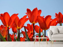 Laden Sie das Bild in den Galerie-Viewer, Fototapete Rote Tulpen XL