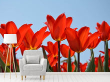 Laden Sie das Bild in den Galerie-Viewer, Fototapete Rote Tulpen XL