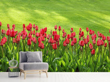Laden Sie das Bild in den Galerie-Viewer, Fototapete Rotes Tulpenfeld im Sonnenlicht