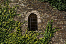 Laden Sie das Bild in den Galerie-Viewer, Fototapete Schlossturm