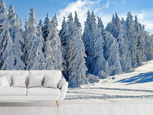 Laden Sie das Bild in den Galerie-Viewer, Fototapete Schöne Winterlandschaft