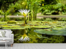 Laden Sie das Bild in den Galerie-Viewer, Fototapete Seerose in der Natur