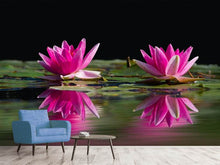 Laden Sie das Bild in den Galerie-Viewer, Fototapete Seerosen Duo in pink