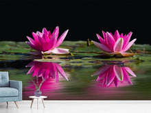 Laden Sie das Bild in den Galerie-Viewer, Fototapete Seerosen Duo in pink