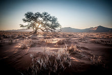 Laden Sie das Bild in den Galerie-Viewer, Fototapete Sehnsucht Afrika