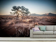 Laden Sie das Bild in den Galerie-Viewer, Fototapete Sehnsucht Afrika