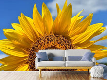 Laden Sie das Bild in den Galerie-Viewer, Fototapete Sonnenblume in XXL