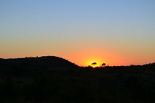 Laden Sie das Bild in den Galerie-Viewer, Fototapete Sonnenuntergang in Afrika
