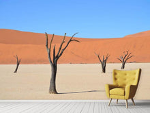 Laden Sie das Bild in den Galerie-Viewer, Fototapete Sossusvlei Namibia