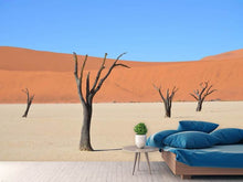 Laden Sie das Bild in den Galerie-Viewer, Fototapete Sossusvlei Namibia
