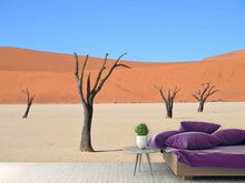 Laden Sie das Bild in den Galerie-Viewer, Fototapete Sossusvlei Namibia