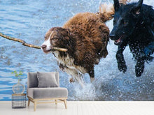 Laden Sie das Bild in den Galerie-Viewer, Fototapete Spielende Hunde