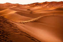 Laden Sie das Bild in den Galerie-Viewer, Fototapete Spuren in der Wüste