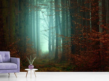 Laden Sie das Bild in den Galerie-Viewer, Fototapete Stimmung im Wald