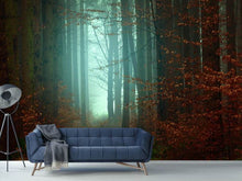 Laden Sie das Bild in den Galerie-Viewer, Fototapete Stimmung im Wald