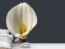 Laden Sie das Bild in den Galerie-Viewer, Fototapete Stolze Calla