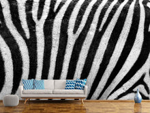 Laden Sie das Bild in den Galerie-Viewer, Fototapete Streifen vom Zebra