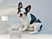Laden Sie das Bild in den Galerie-Viewer, Fototapete Süsse Französische Bulldogge