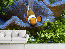 Laden Sie das Bild in den Galerie-Viewer, Fototapete Süsser Clownfisch