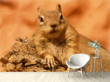 Laden Sie das Bild in den Galerie-Viewer, Fototapete Süsses Eichhörnchen