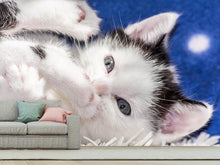 Laden Sie das Bild in den Galerie-Viewer, Fototapete Süsses Kitten