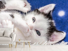 Laden Sie das Bild in den Galerie-Viewer, Fototapete Süsses Kitten